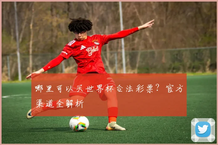 哪里可以买世界杯合法彩票？官方渠道全解析